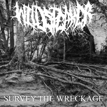 Wildspeaker – Survey The Wreckage